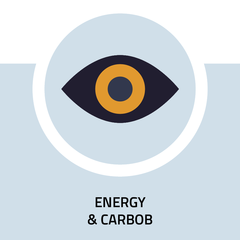 Energy and carbon